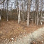 武石上本入別荘地